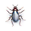 cockroach tattoo design idea
