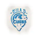 Chicago Cubs  tattoo design idea