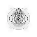 yin yang with monkey tattoo design idea