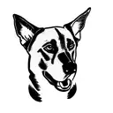 Belgian malinois tattoo design idea
