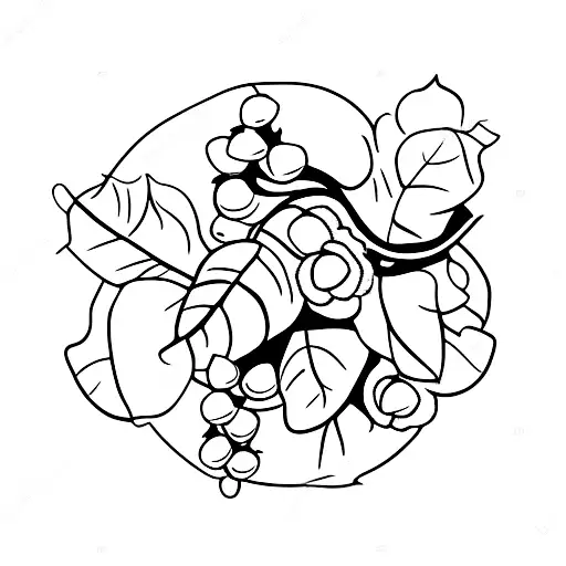 blackberries on vine with leaves and small flowers tattoo design idea