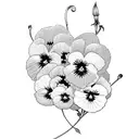 pansy tattoo design idea