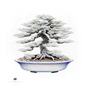 bonsai tree tattoo design idea