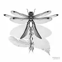 Dragonfly tattoo design idea
