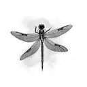 Dragonfly tattoo design idea