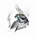 Goshawk tattoo design idea