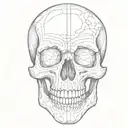 skull outline jaw teeth and nose print tattoo design idea