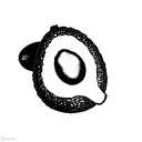 avocado  tattoo design idea