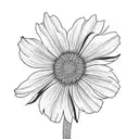 cosmos, morning glory, daisy in a bouquet  tattoo design idea