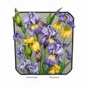 purple iris and dandelion in a circle  tattoo design idea