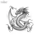 dragon,pacifist,bipolar,car,red,grey,black,romantic,eternium. tattoo design idea