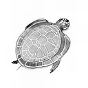turtle  tattoo design idea