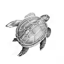 turtle shark anchor  tattoo design idea