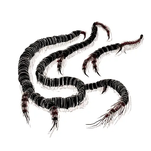 Tokyo ghoul  and a centipede tattoo design idea