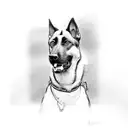 belgian malinois tattoo design idea