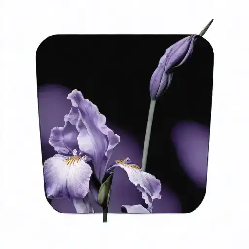 single wild iris with stem tattoo design idea