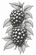 blackberry tattoo design idea