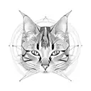 cat lying on his back tattoo design idea