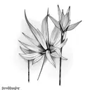 Strelitzia reginae tattoo design idea