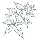 ivy leaf and Koa  tattoo design idea