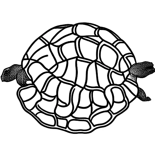 Tortoise tattoo design idea