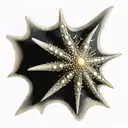 sea urchin star fish and sea shell turn golden proportion tattoo design idea