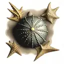 sea urchin star fish and sea shell turn golden proportion tattoo design idea