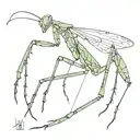 mantis top view line work tattoo design idea