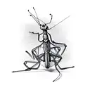 A sketch of a praying mantis playing a musical instrument tattoo design idea