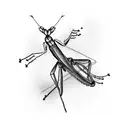 A sketch of a praying mantis playing a musical instrument tattoo design idea