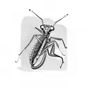 A sketch of a praying mantis playing a musical instrument tattoo design idea