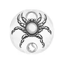 crab and moon phases tattoo design idea