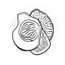 Half a kiwi fruit tattoo design idea