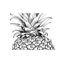 Pineapple tattoo design idea