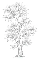 olive tree tattoo design idea