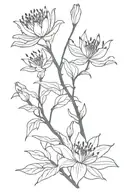 Crown black African tree red spider lily tattoo design idea