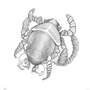 hermit crab tattoo design idea