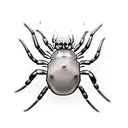 Spider tattoo design idea