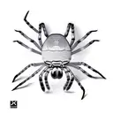 Spider tattoo design idea