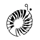 spiral shell tattoo design idea