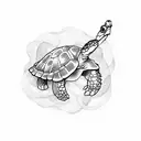 tortuga dibujo  tattoo design idea