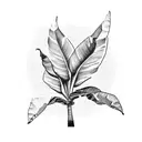 Banana Tree Leaves tattoo design idea