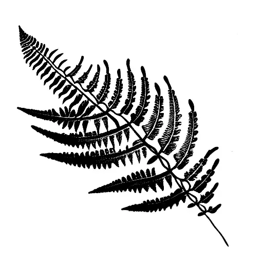 fern tattoo design idea