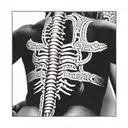 Incorporate Inca symbols into a blackwork tattoo of a spine, representing the importance of spinal health in osteopathy tattoo design idea