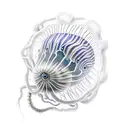 jelly fish  tattoo design idea