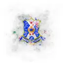 dominican flag tattoo design idea