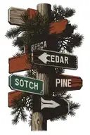 street sign saying Red Cedar and the other saying Scotch Pine  tattoo design idea