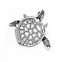 bjj turtle tattoo design idea