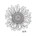 chrysanthemum with daisy tattoo design idea