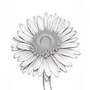 chrysanthemum with daisy tattoo design idea